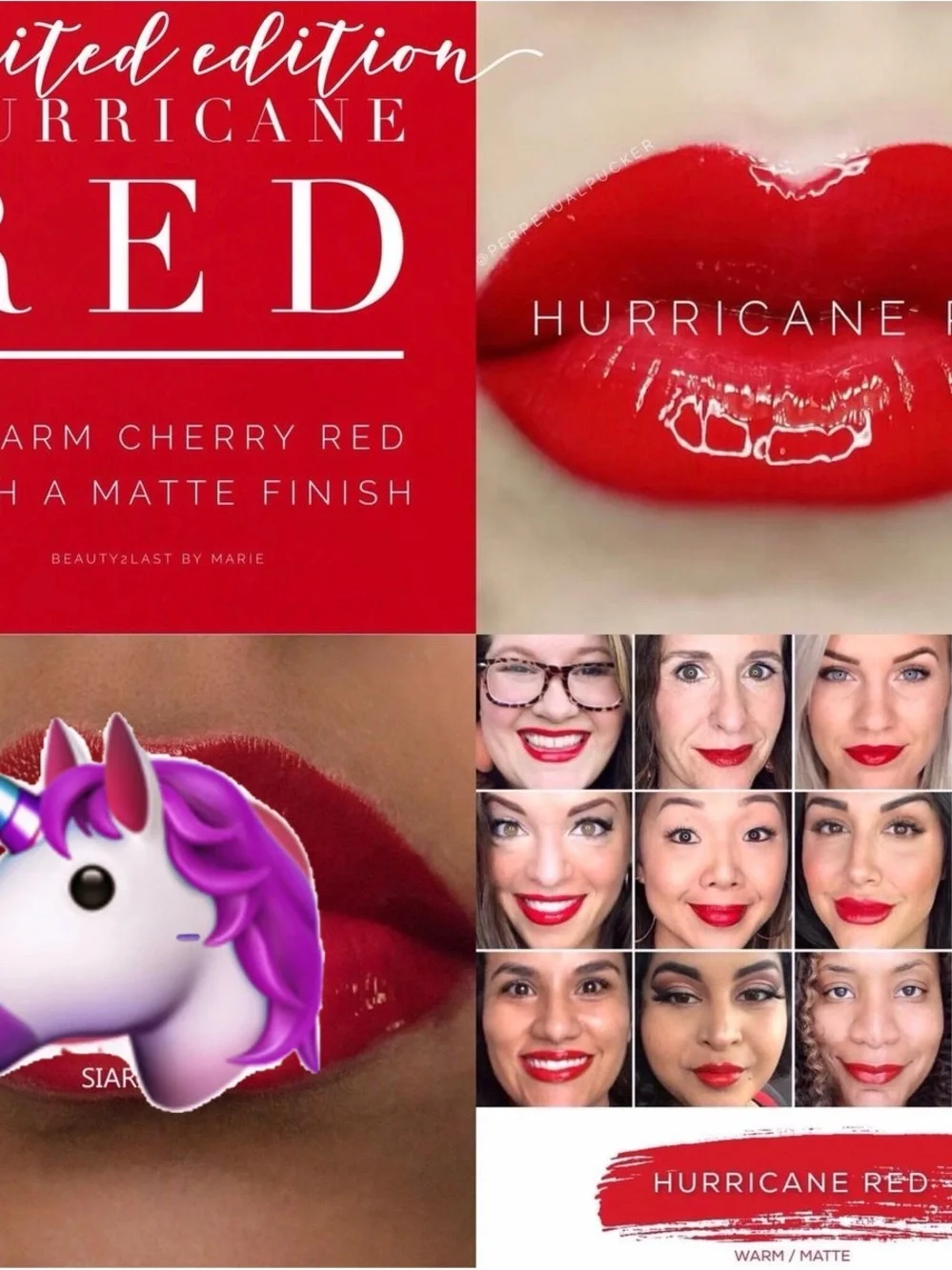 Lipsense by SeneGence new never opened full sized tube Hurricane Red